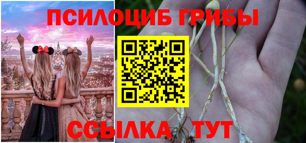 Галлюциногенные грибы мухоморы Дивногорск