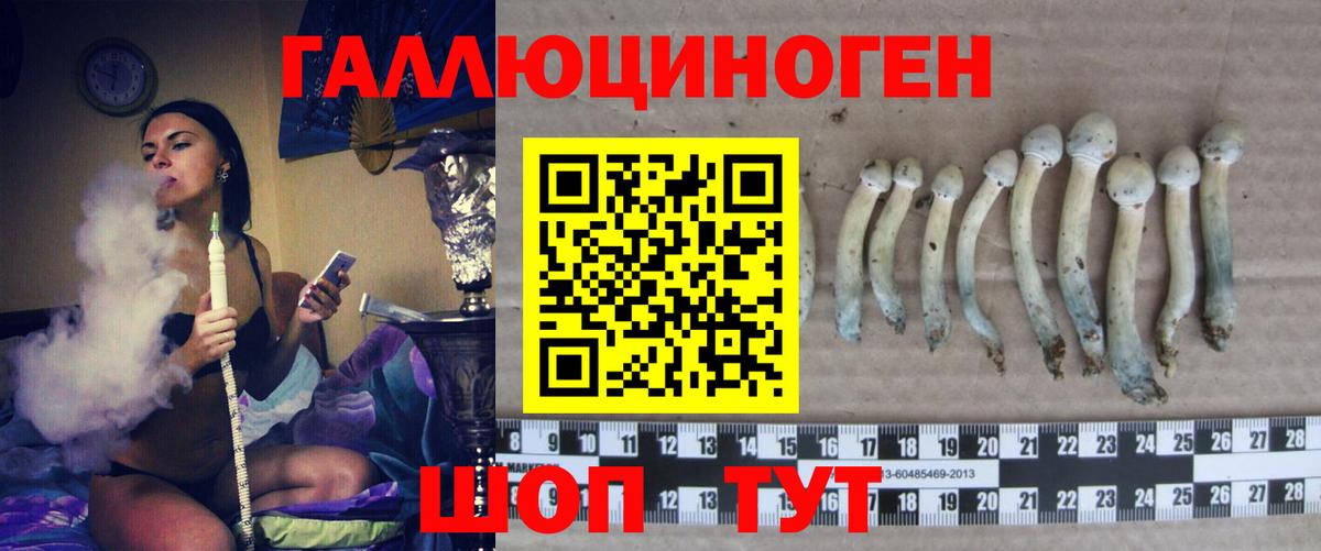 Дивногорск  Галлюциногенные грибы мухоморы  Вход с VPN 